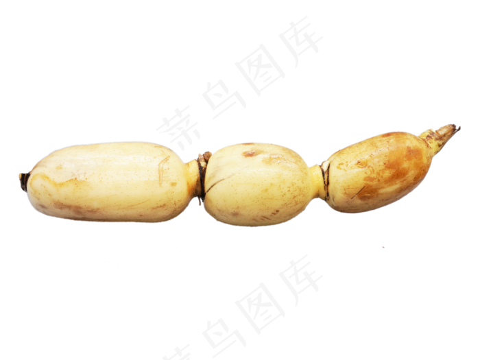 素食蔬菜莲藕