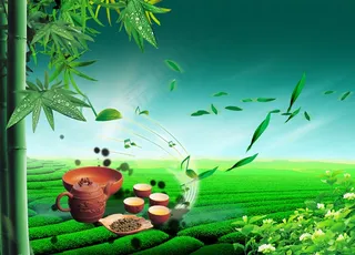 电视墙背景画效果图片