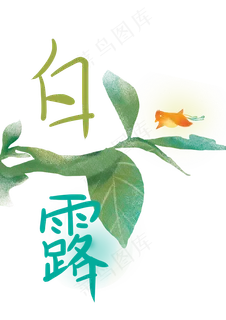 白露植物24节气免费下载