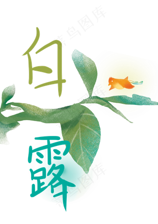 白露植物24节气免费下载