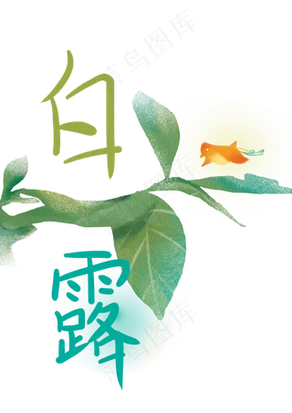 白露植物24节气免费下载