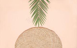 平铺式夏季作曲