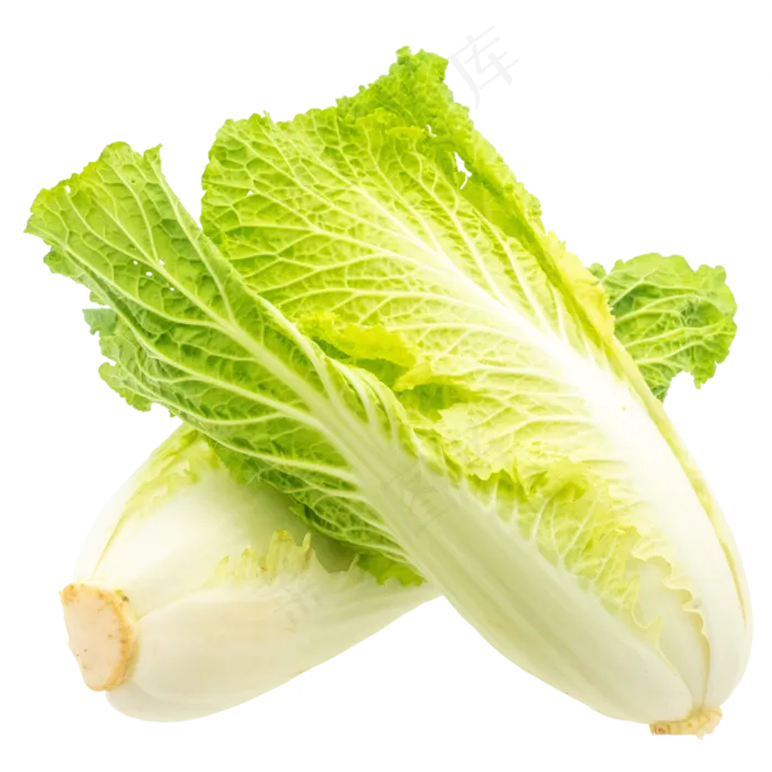 两颗白菜蔬菜(3000X4000(DPI:72))