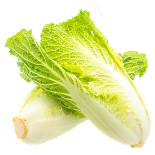 两颗白菜蔬菜