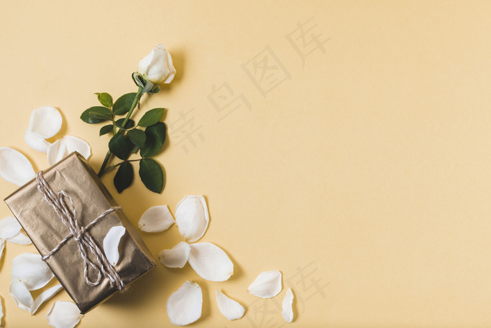 赠送玫瑰花瓣和复制空间