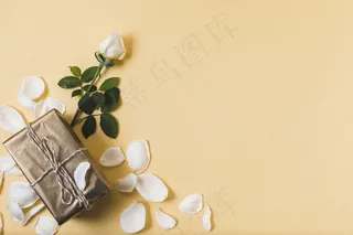 赠送玫瑰花瓣和复制空间