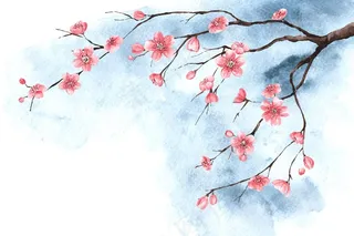 水彩樱花壁纸