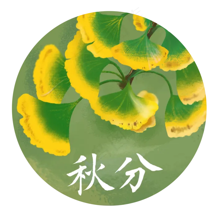  银杏叶植物 (2000X2000(DPI:300))psd模版下载