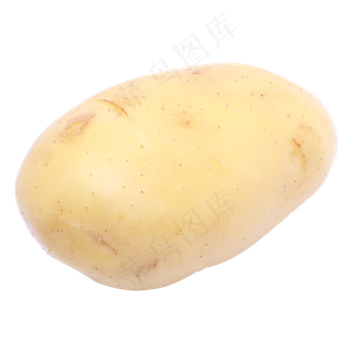 黄色马铃薯