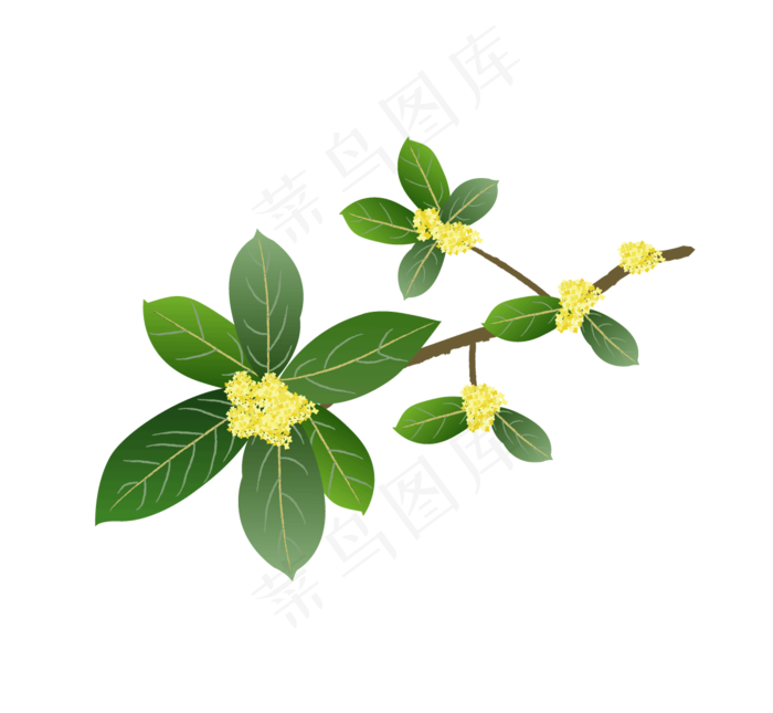 中秋节矢量桂花树