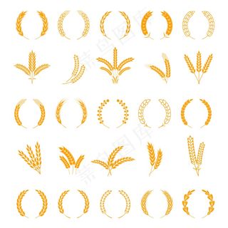 小麦和黑麦穗。收割大麦籽粒，生长水稻秸秆。设置字段图标。商业标志用花环穗和花茎