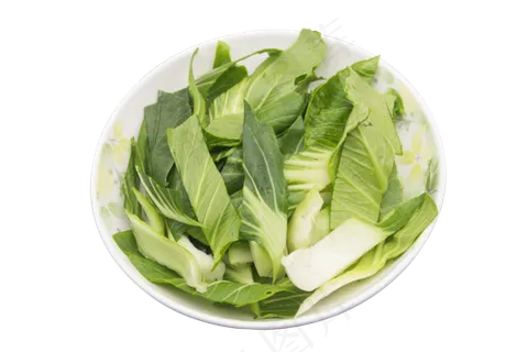 绿色油菜食材 绿色油菜食材