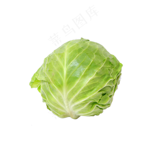 绿色蔬菜卷心菜