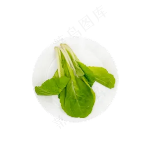 小白菜蔬菜摄影实物 小白菜蔬菜摄影实物