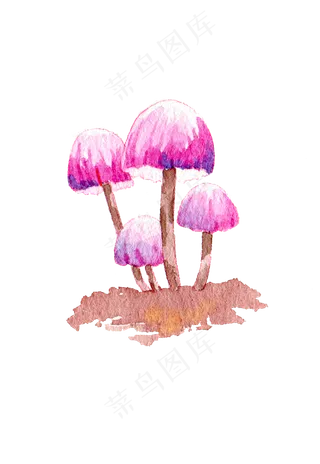 手绘蘑菇水彩蘑菇秋日蘑菇