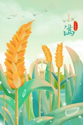 二十四节气小满配图