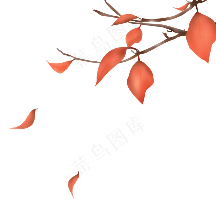 飘落红叶免抠素材(2000X2000(DPI:300))psd模版下载