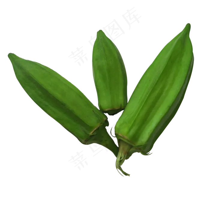实拍蔬菜秋葵(2000X2000(DPI:300))