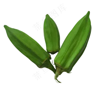 实拍蔬菜秋葵 实拍蔬菜秋葵