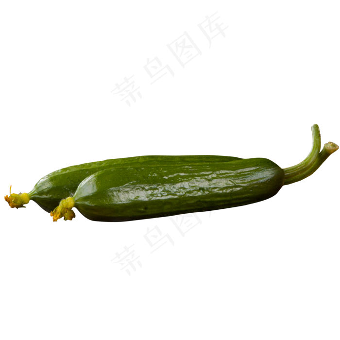 绿色圆润黄瓜食物元素(2000X2000(DPI:300))psd模版下载