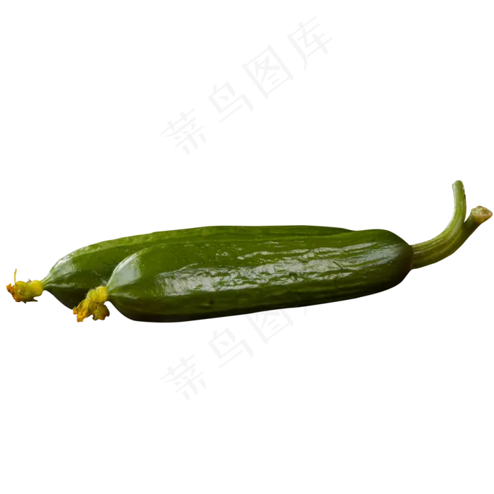 绿色圆润黄瓜食物元素(2000X2000(DPI:300))psd模版下载