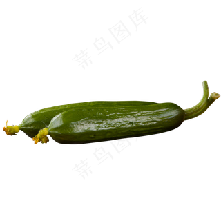 绿色圆润黄瓜食物元素