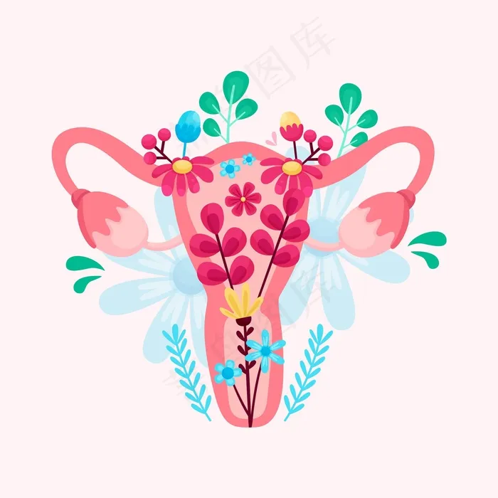 有花的雌性生殖系统eps,ai矢量模版下载