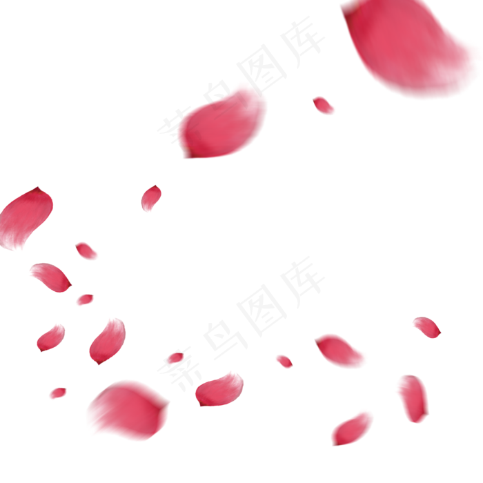 铺满地方粉色花瓣中秋