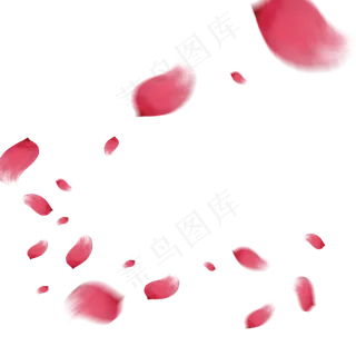 铺满地方粉色花瓣中秋