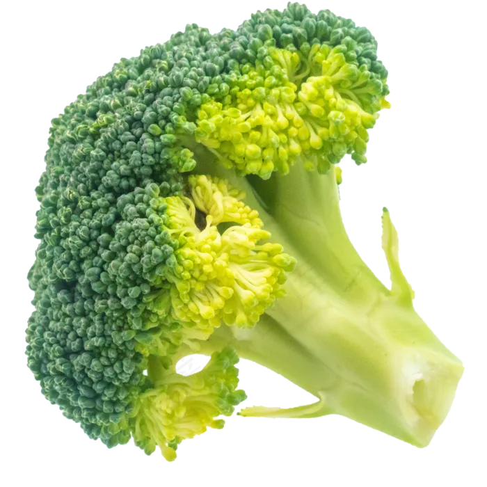 精美绿色花椰菜(3500X3500(DPI:300))