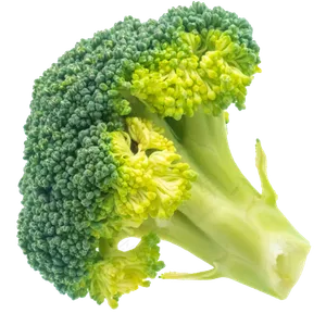精美绿色花椰菜