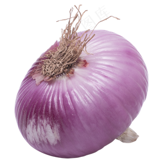 一个紫色洋葱蔬菜实拍