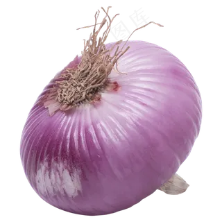 一个紫色洋葱蔬菜实拍