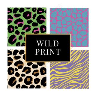 收集了四种不同的野生动物印花背景