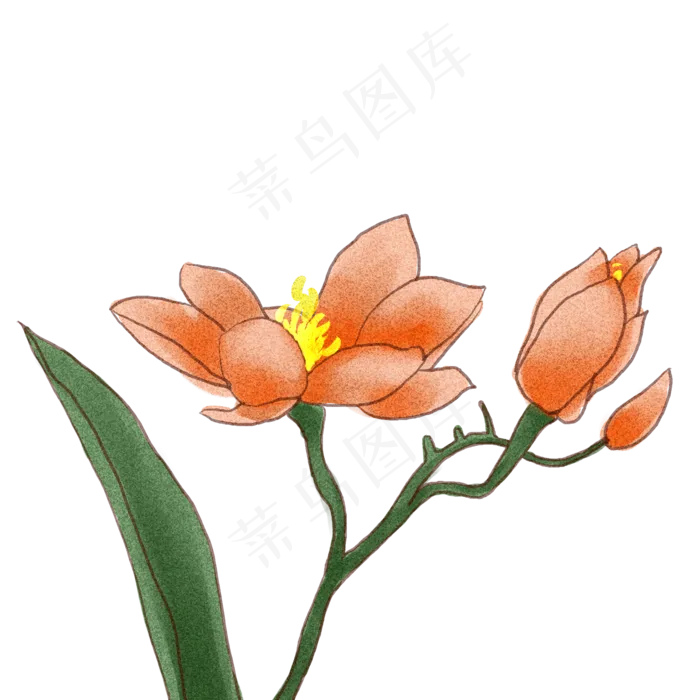 花朵中秋节商用元素(2000X2000(DPI:72))psd模版下载