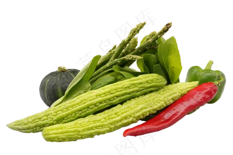 绿色有机蔬菜 绿色有机蔬菜