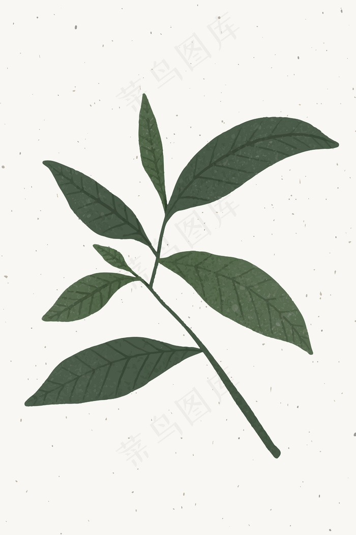 带绿叶设计元素的分支eps,ai矢量模版下载