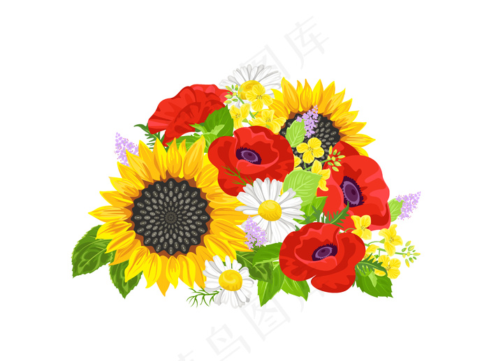 盛开着向日葵、雏菊和红罂粟的夏季花束。