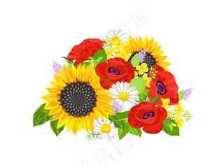 盛开着向日葵、雏菊和红罂粟的夏季花束。