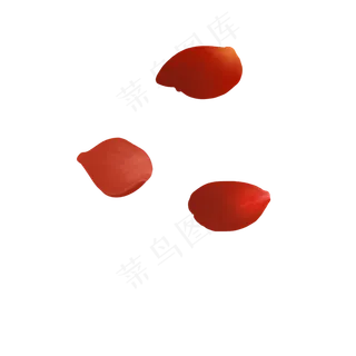 玫瑰花瓣七夕情人节