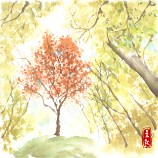 立秋秋季的树林