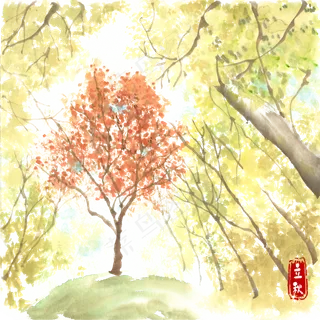 立秋秋季的树林 立秋秋季的树林