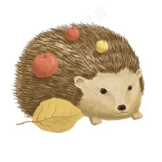秋天暖色刺猬背果子