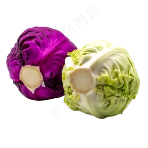 蔬菜紫菜白菜