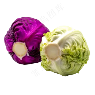 蔬菜紫菜白菜 蔬菜紫菜白菜