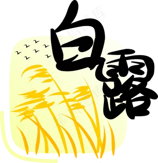 节气白露字样