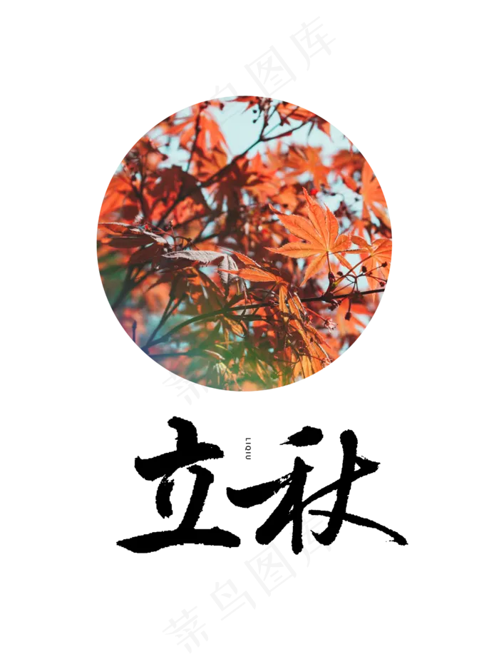 立秋节气枫叶(2500X3300(DPI:300))psd模版下载