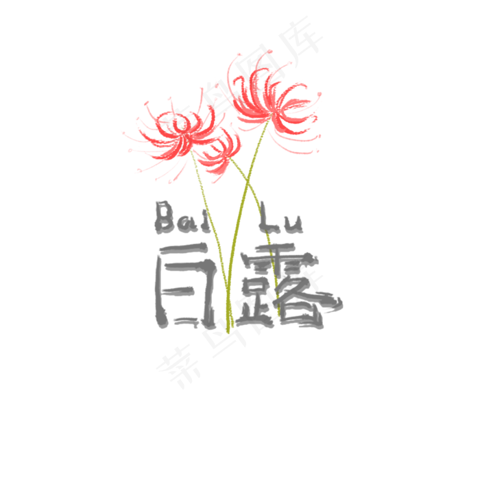 红色花朵节气白露(2000X2000(DPI:300))psd模版下载