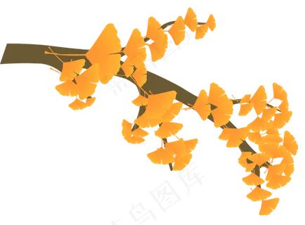 秋天的金黄色银杏叶