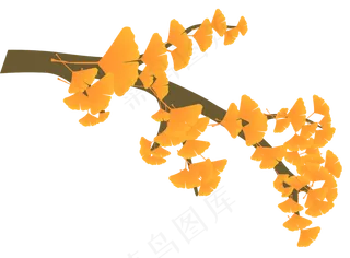 秋天的金黄色银杏叶